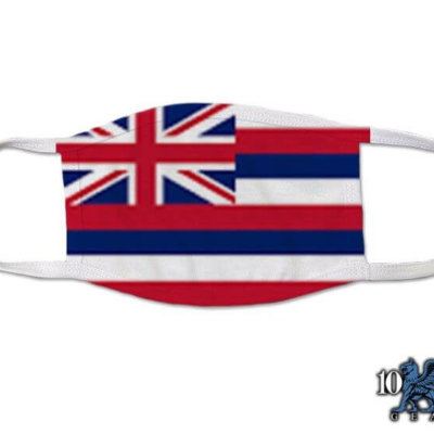 Hawaii US State Flag Covid Mask